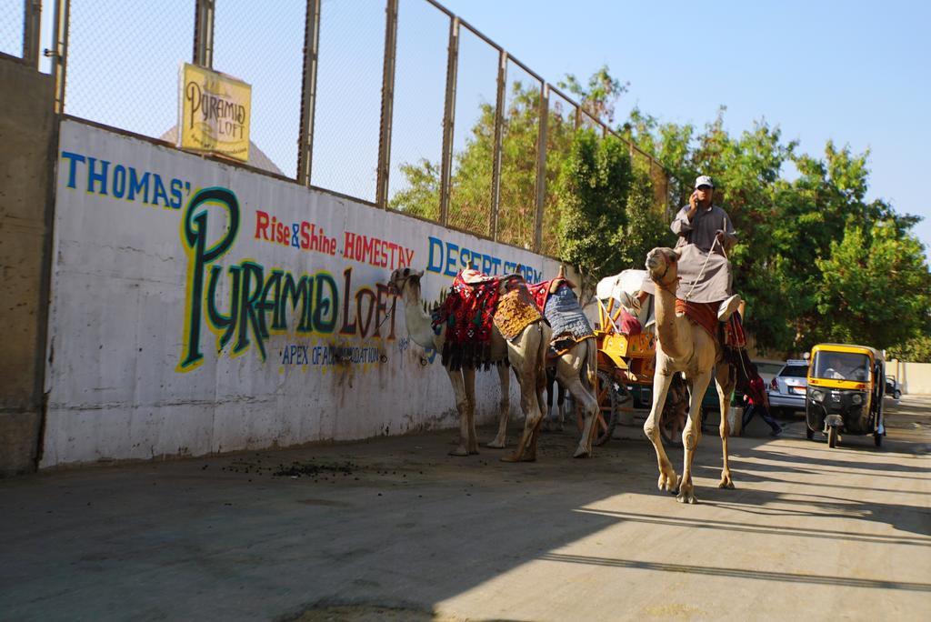 Pyramids Loft Homestay Kafret el-Gabal Zewnętrze zdjęcie